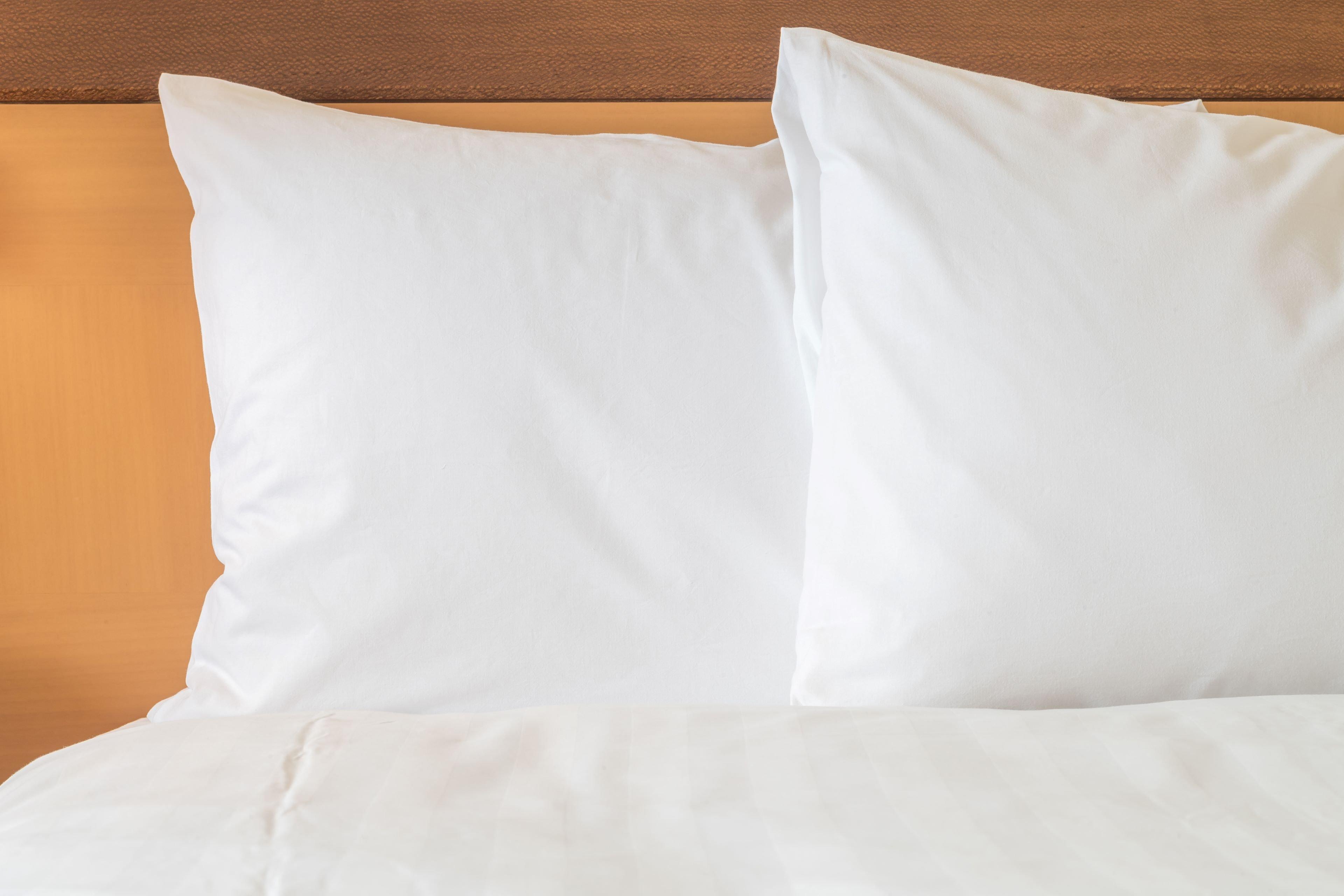 Holiday Inn Express Hotel & Suites Tampa-Fairgrounds-Casino By Ihg Eksteriør bilde